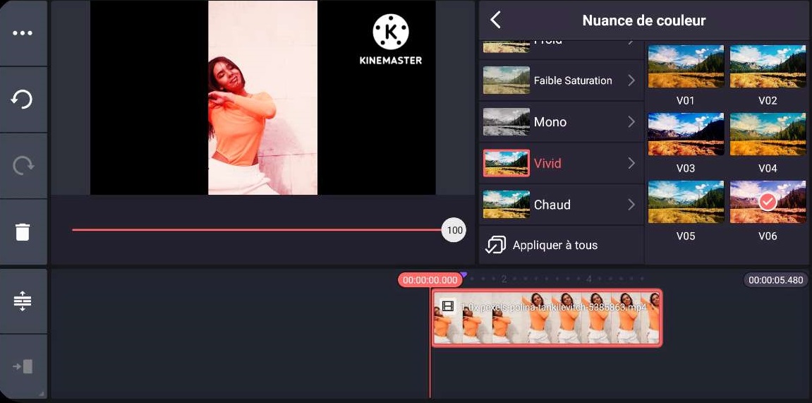 KineMaster - Montage vidéo pour utilisateurs avancés sur iPhone