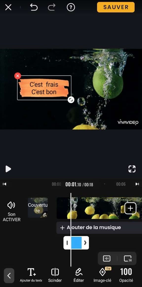vivavideo  - Meilleur choix pour des vidéos fun sur les réseaux sociaux