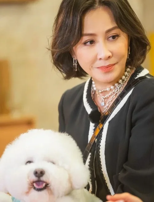 中年婦女短髮造型推薦：層次短髮