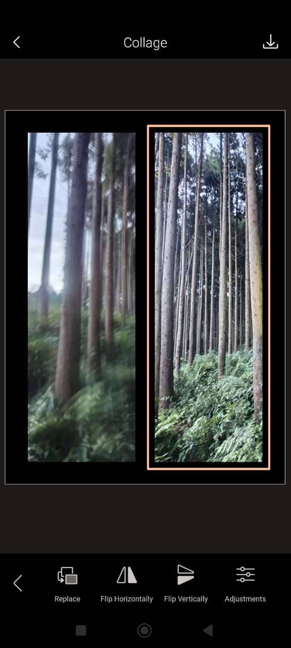 Create Side by Side Pics