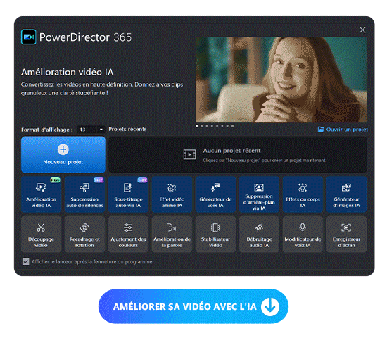 PowerDirector