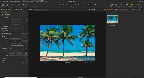 Capture One ユーザーインターフェース