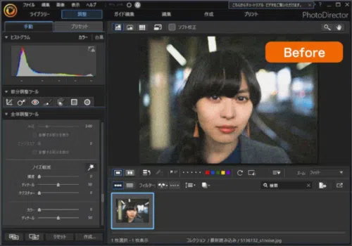 PhotoDirector ノイズ除去ツール