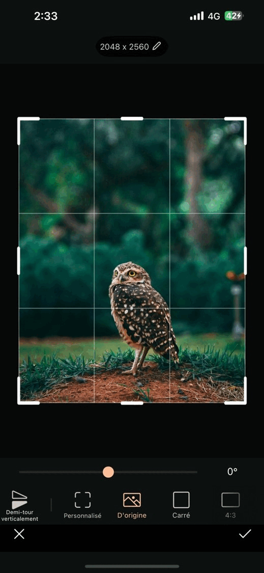 Retoucher photo iPhone - recadrage application