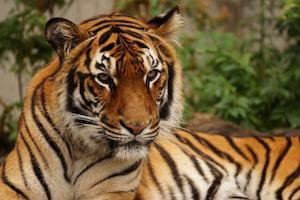 MyEdit　AI 画像フュージョン 元画像