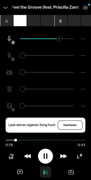 Vocal Remover entfernt Gesang aus Lied