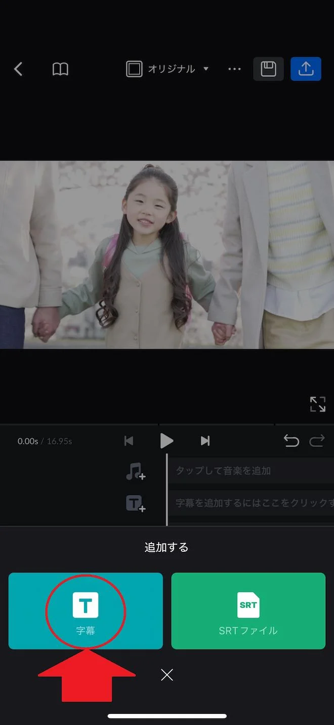 vn字幕トラック画面