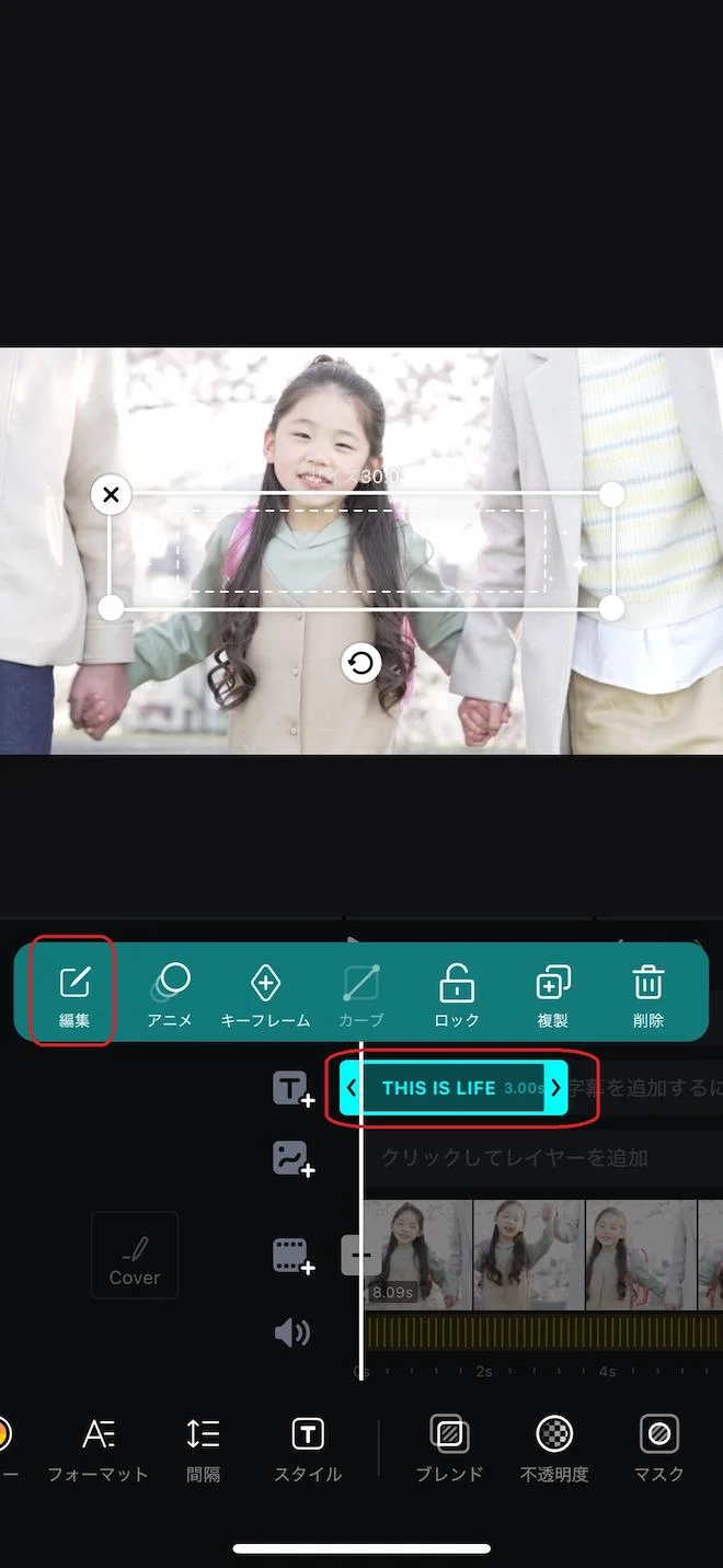 vn字幕テンプレート編集画面