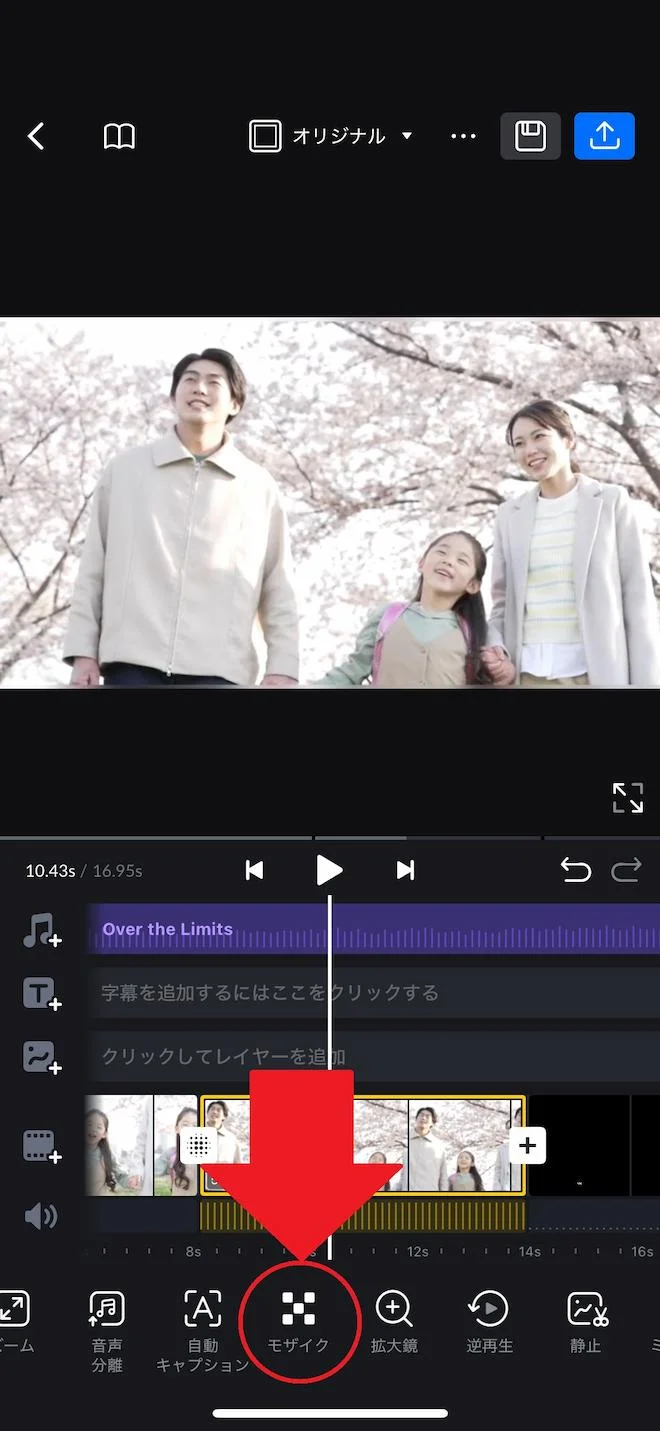 vn動画クリップモザイク選択画面