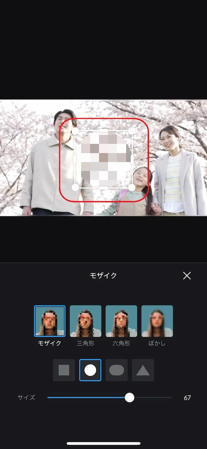 vnモザイク調整画面