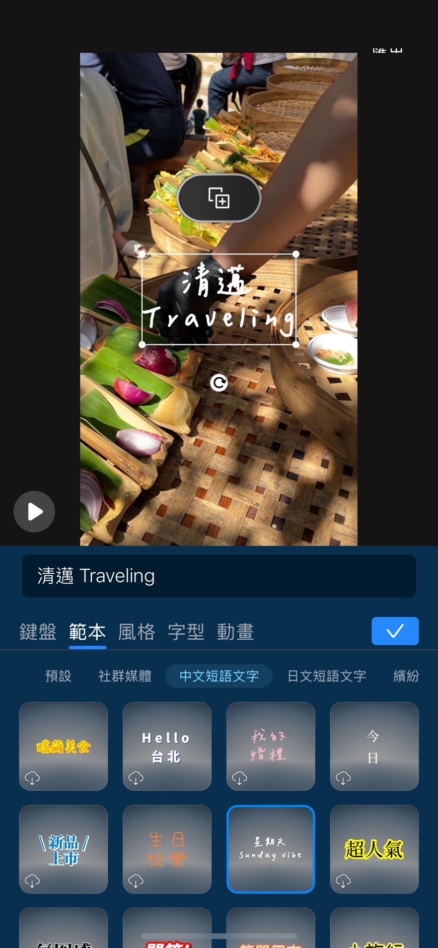 Vlog文字