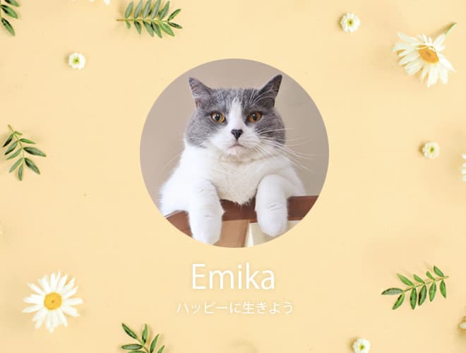 PhotoDirector LINE アイコンサンプル