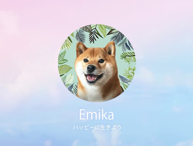 PhotoDirector LINE アイコンサンプル