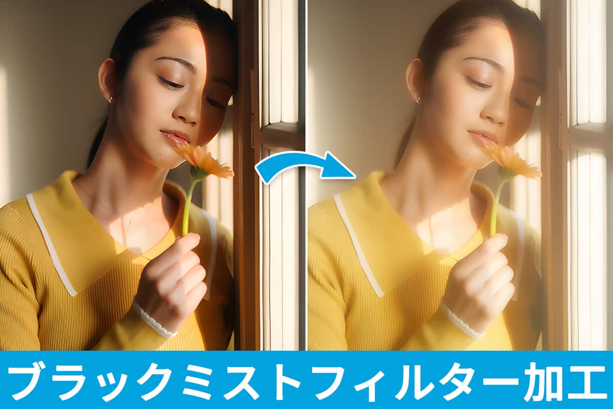 【無料】ブラックミスト フィルター加工ができるおすすめソフト 3 選