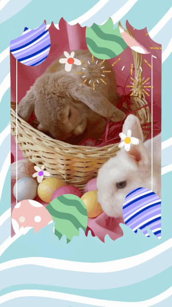 Ostervideo erstellt mit PowerDirector