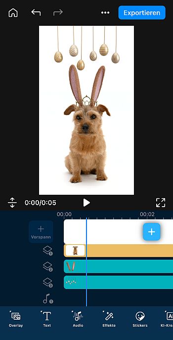 Ostersticker für Videos: Setze deinem Hund Hasenohren auf