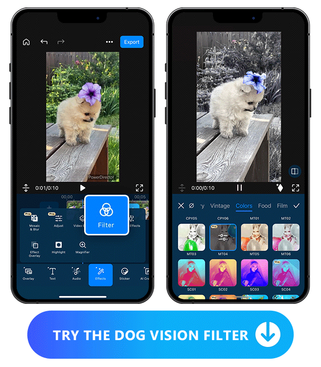 PowerDirector App - Dog Color Filter