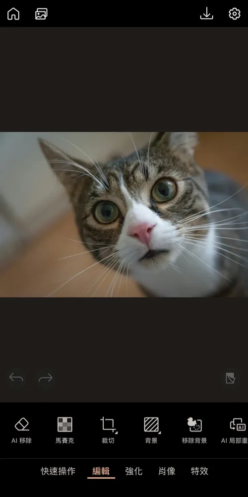 卡片製作與設計