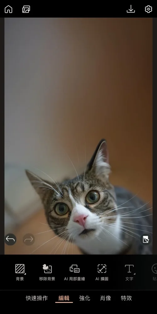 卡片製作與設計