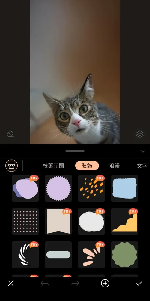 卡片製作與設計