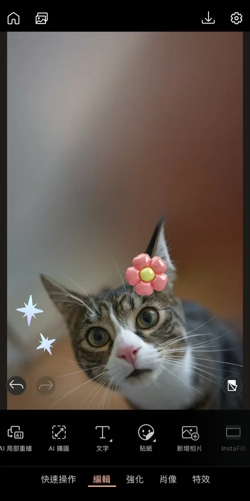 卡片製作與設計