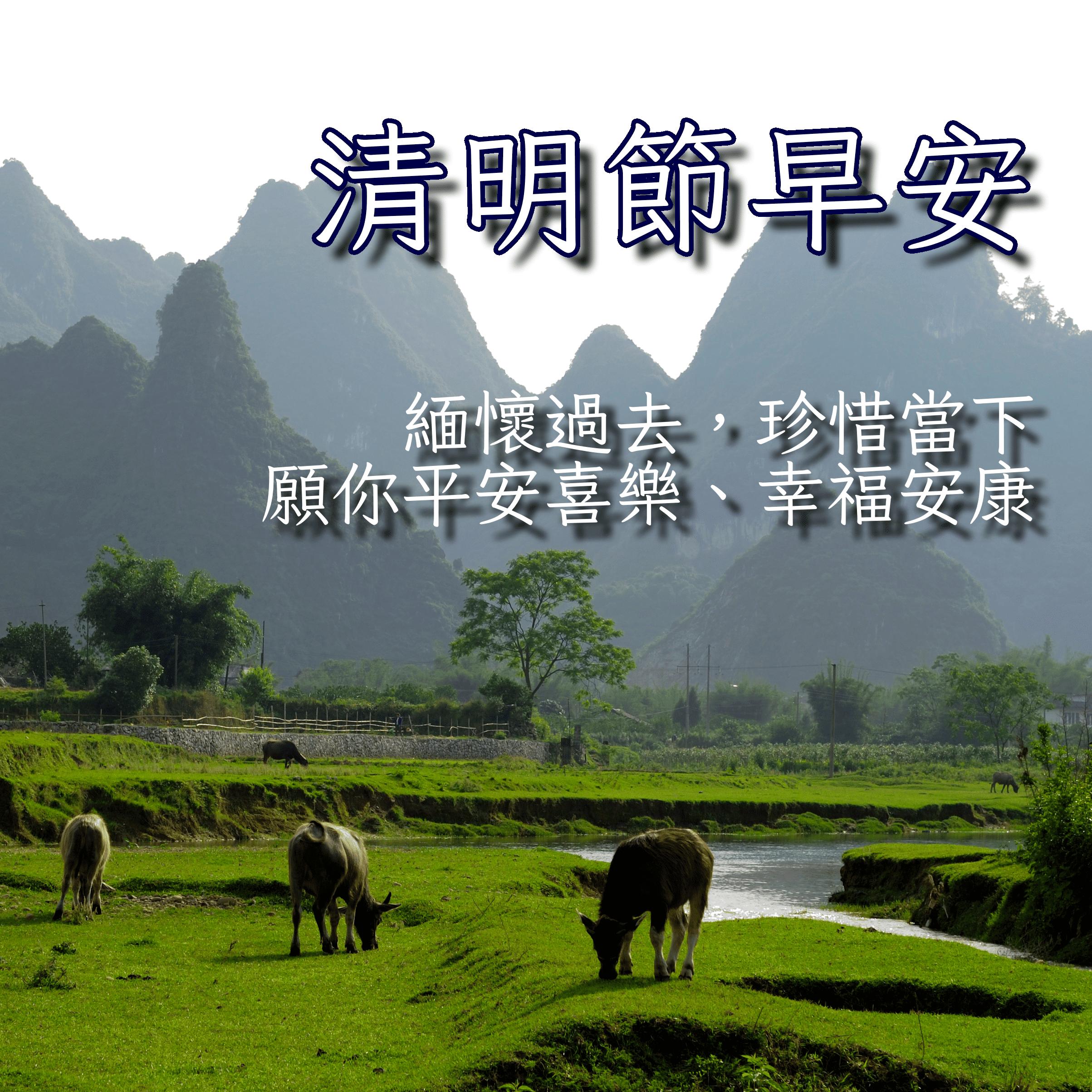 清明節早安圖下載