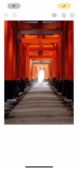 Apple Intelligence suppression