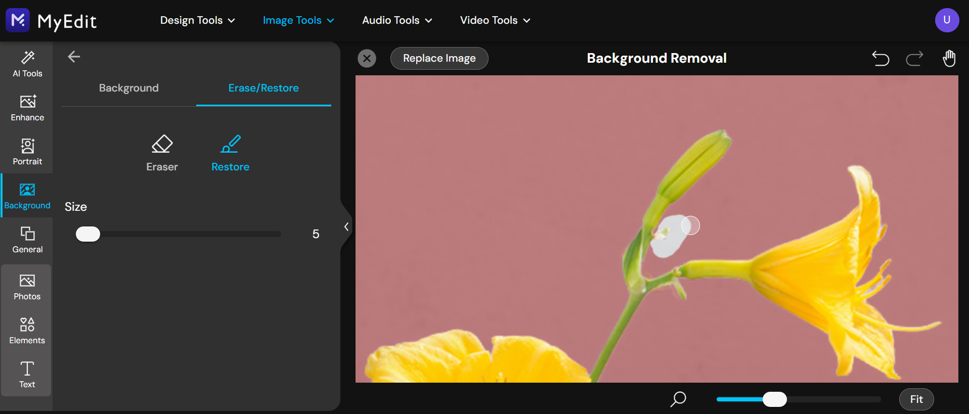 AI Background Removal