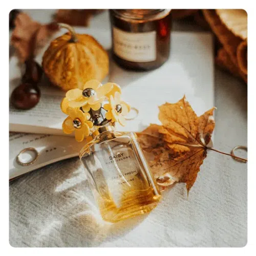 More Creative Ways to Use AI Video Filters