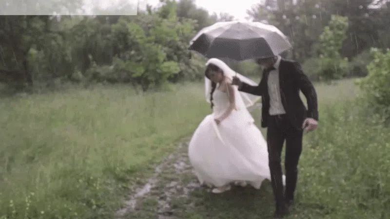 60+ Best Wedding Slideshow Templates For Free