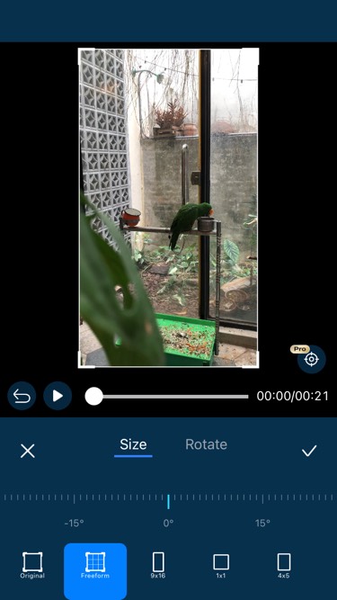 Remove TikTok Watermark by Cropping Video