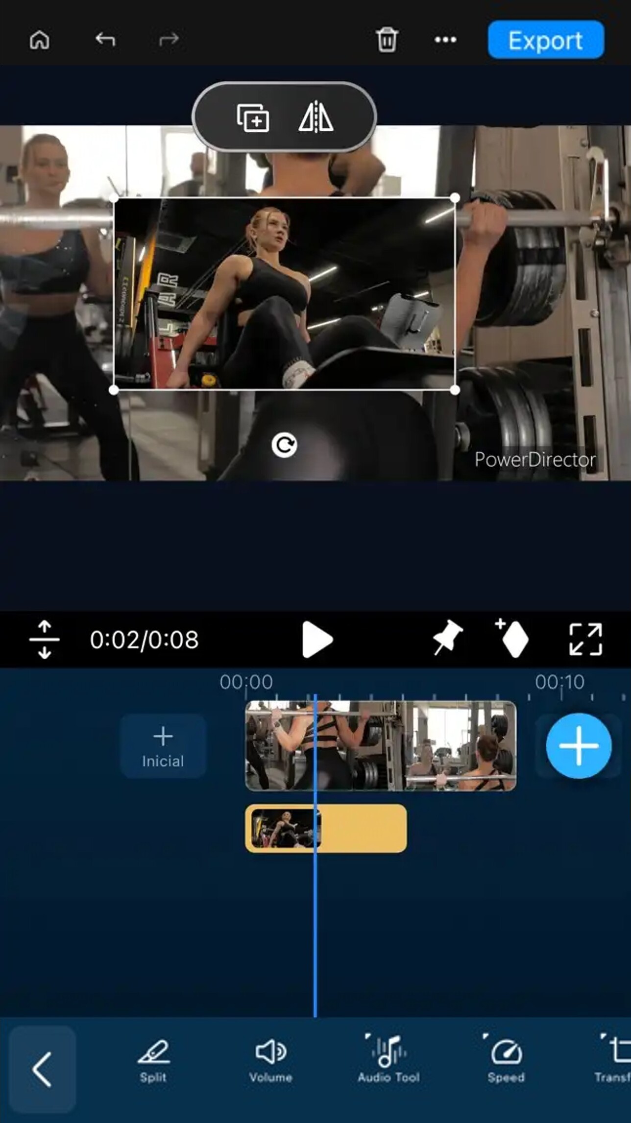 Remove TikTok Watermark with Overlays
