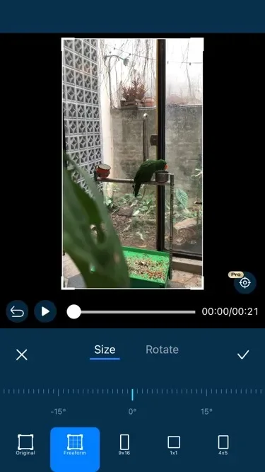 Remove TikTok Watermark by Cropping Video