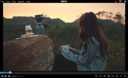 DivX Player Interface