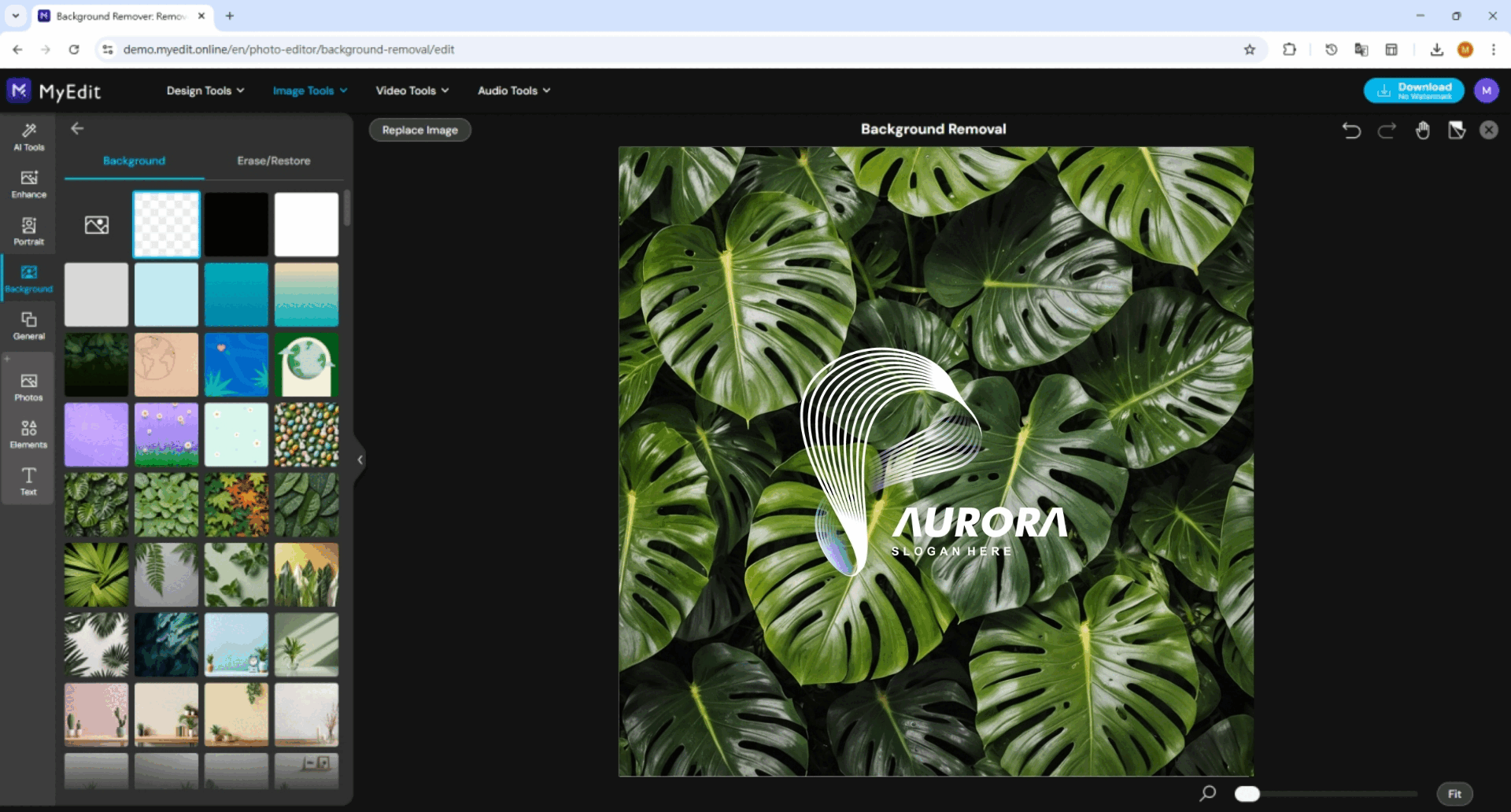 Result with transparent background