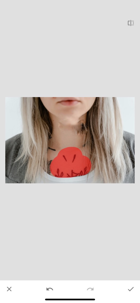 Snapseed — Best Free Mobile App for Tattoo Removal