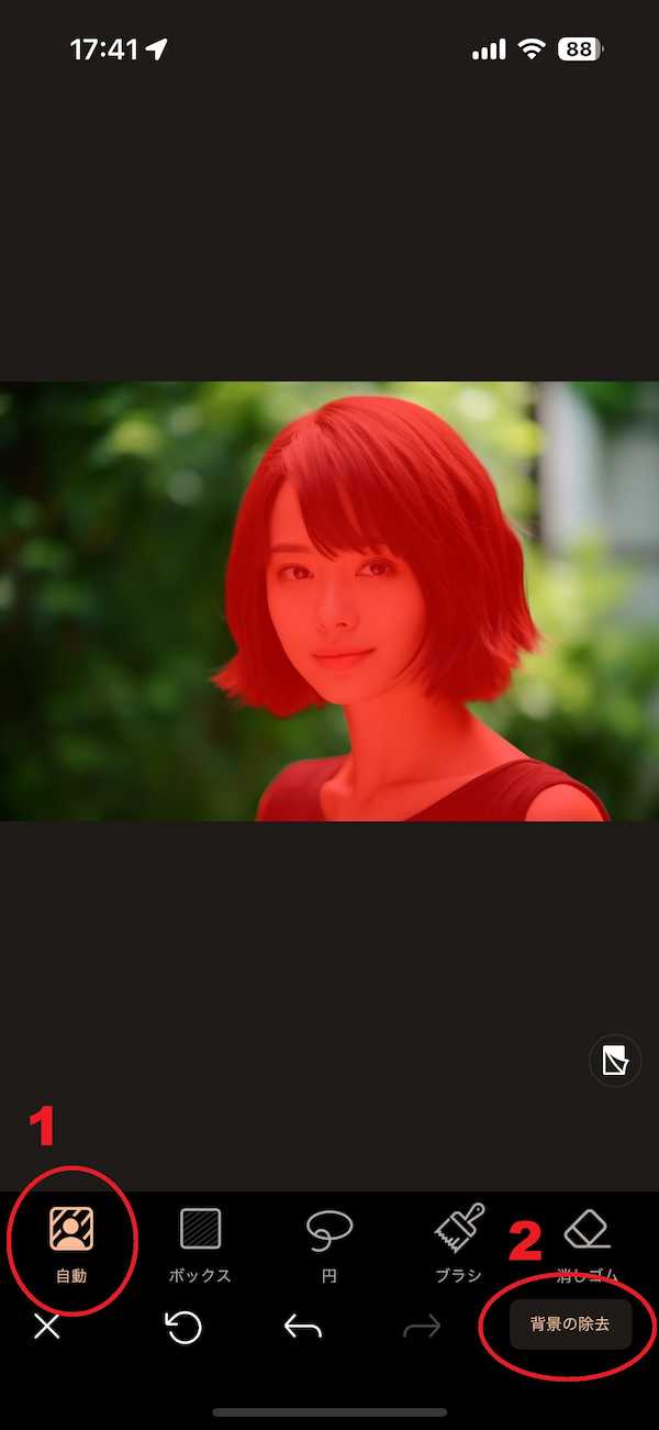 PhotoDirector 編集 背景除去の自動で背景を除去