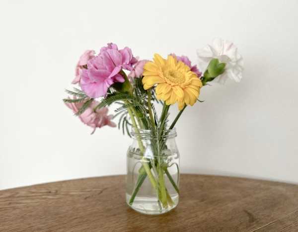 PhotoDirector 編集 元画像6