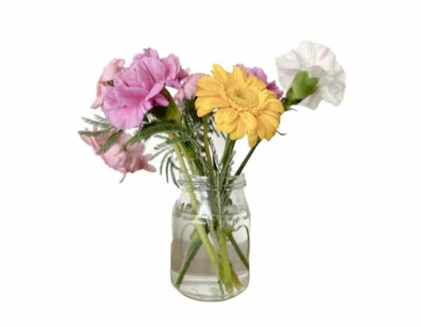 PhotoDirector 編集 背景を白く加工6