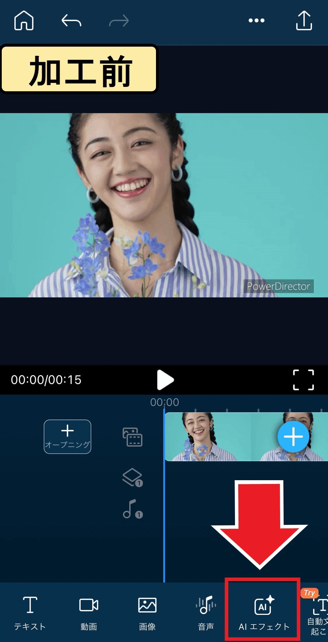 PowerDirector tiktok-effect