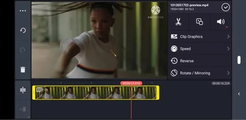 KineMaster interface