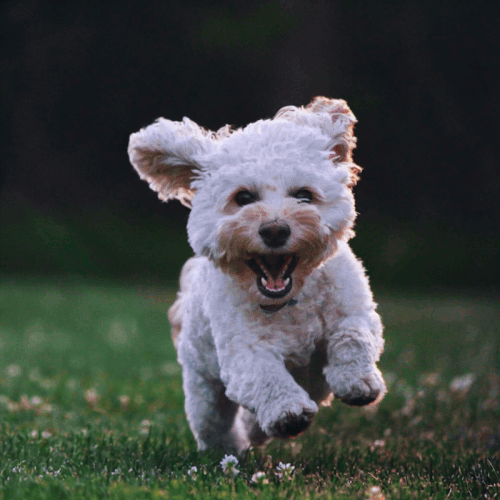 威力導演 AI 影片生成