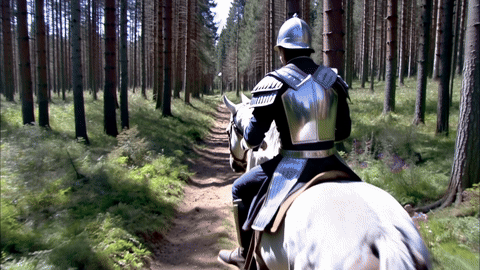 Video erstellt aus Text-Prompt mit MyEdit