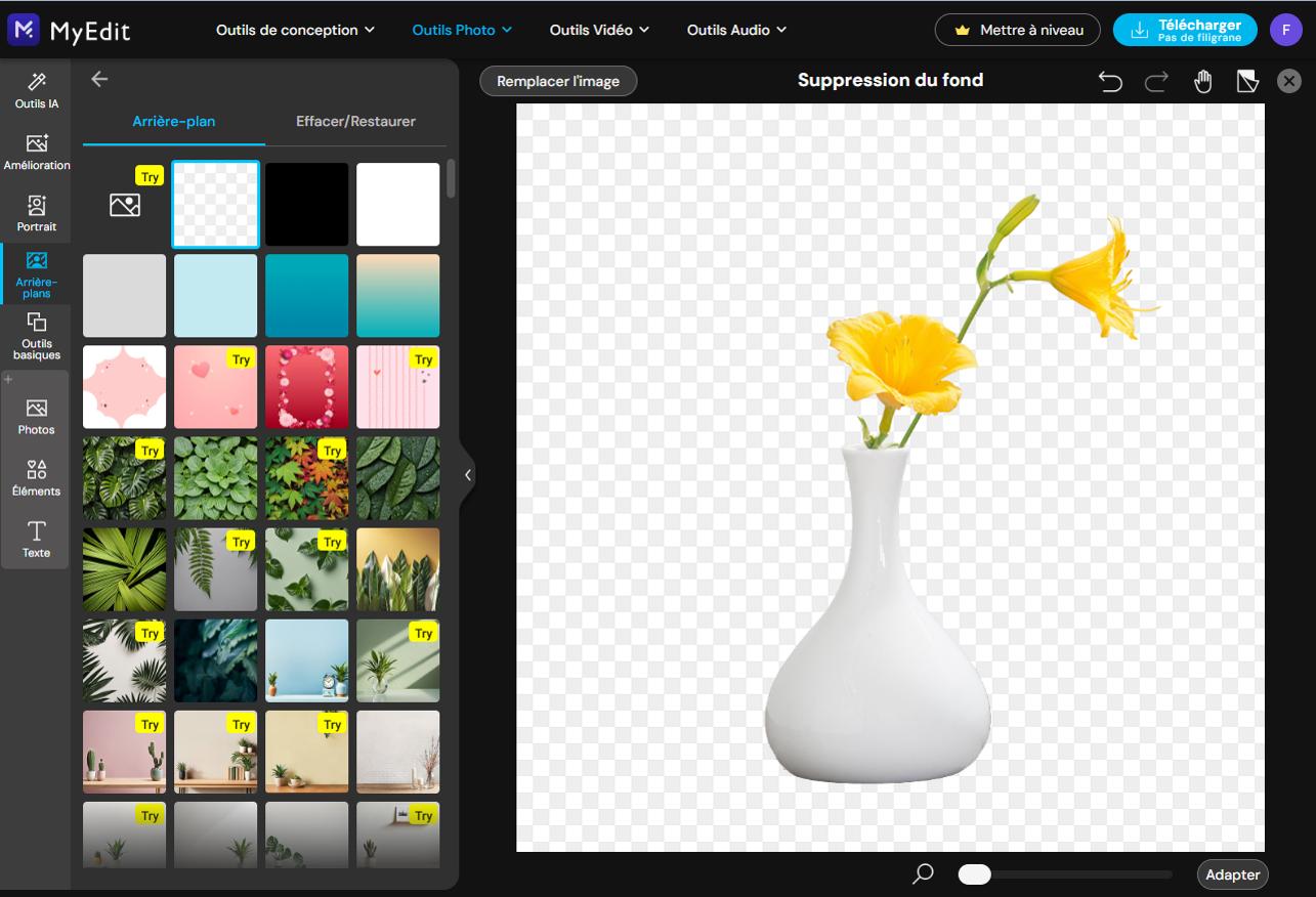 MyEdit - Rendre une image transparente en ligne - Etape 3