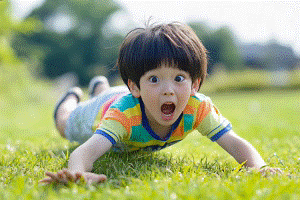 粘土画像生成動画