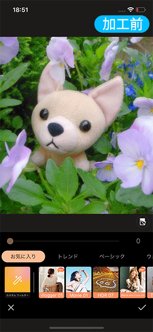 ぬい撮りフィルターサンプル