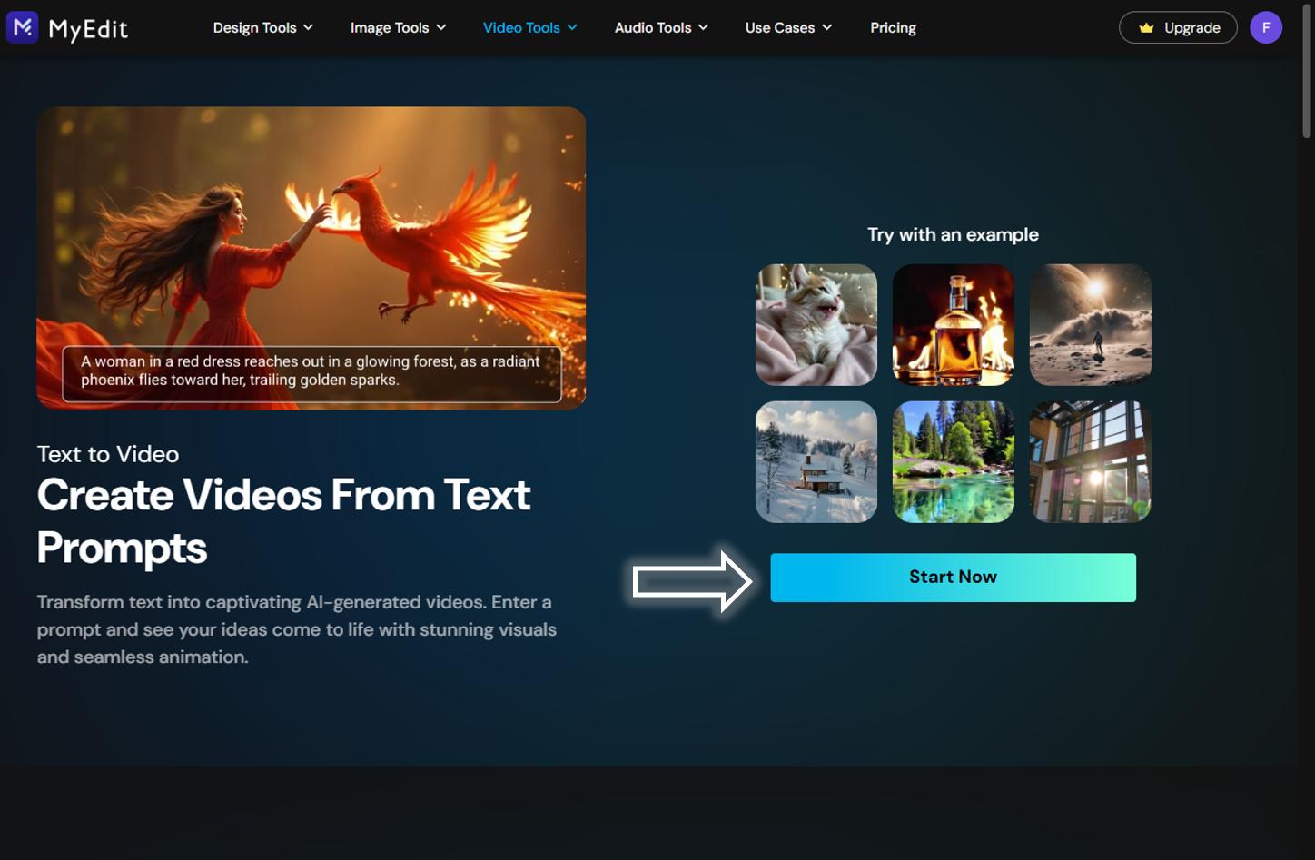 MyEdit - Generate a video from text 1