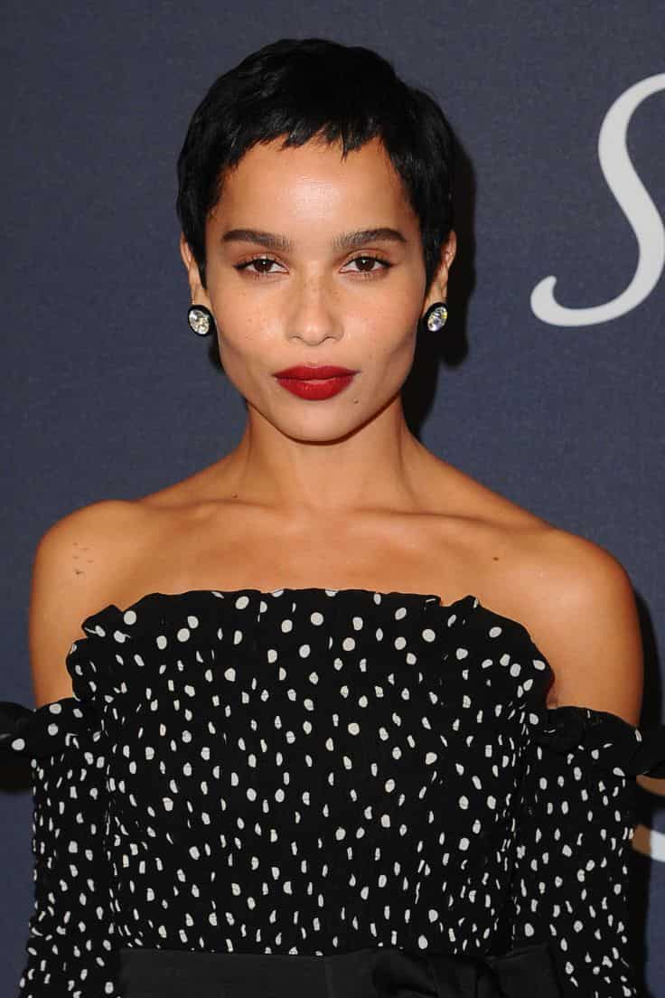 Foto de Pixie largo con textura