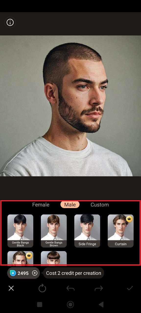 How to Add Hair to a Photo Easily