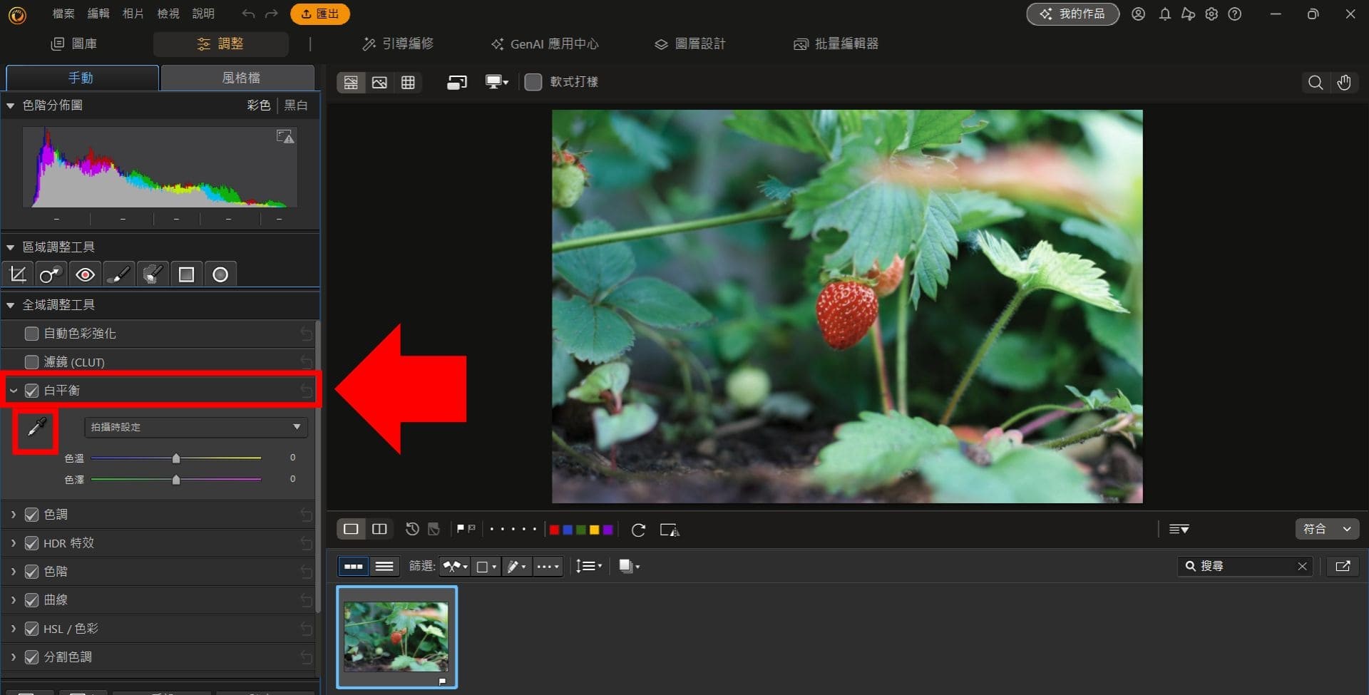 白平衡校正工具：相片大師